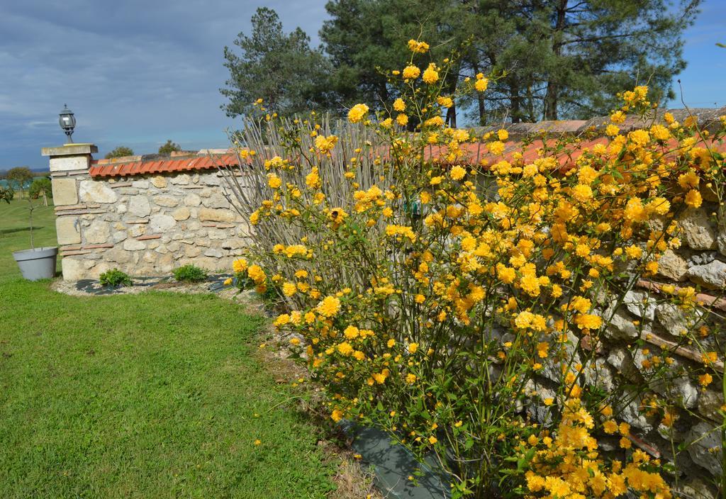 Sainte-Bazeille Le Coteau De Bazeille Sauna&Detente Sas מראה חיצוני תמונה