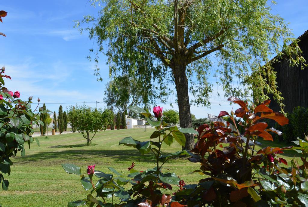 Sainte-Bazeille Le Coteau De Bazeille Sauna&Detente Sas מראה חיצוני תמונה