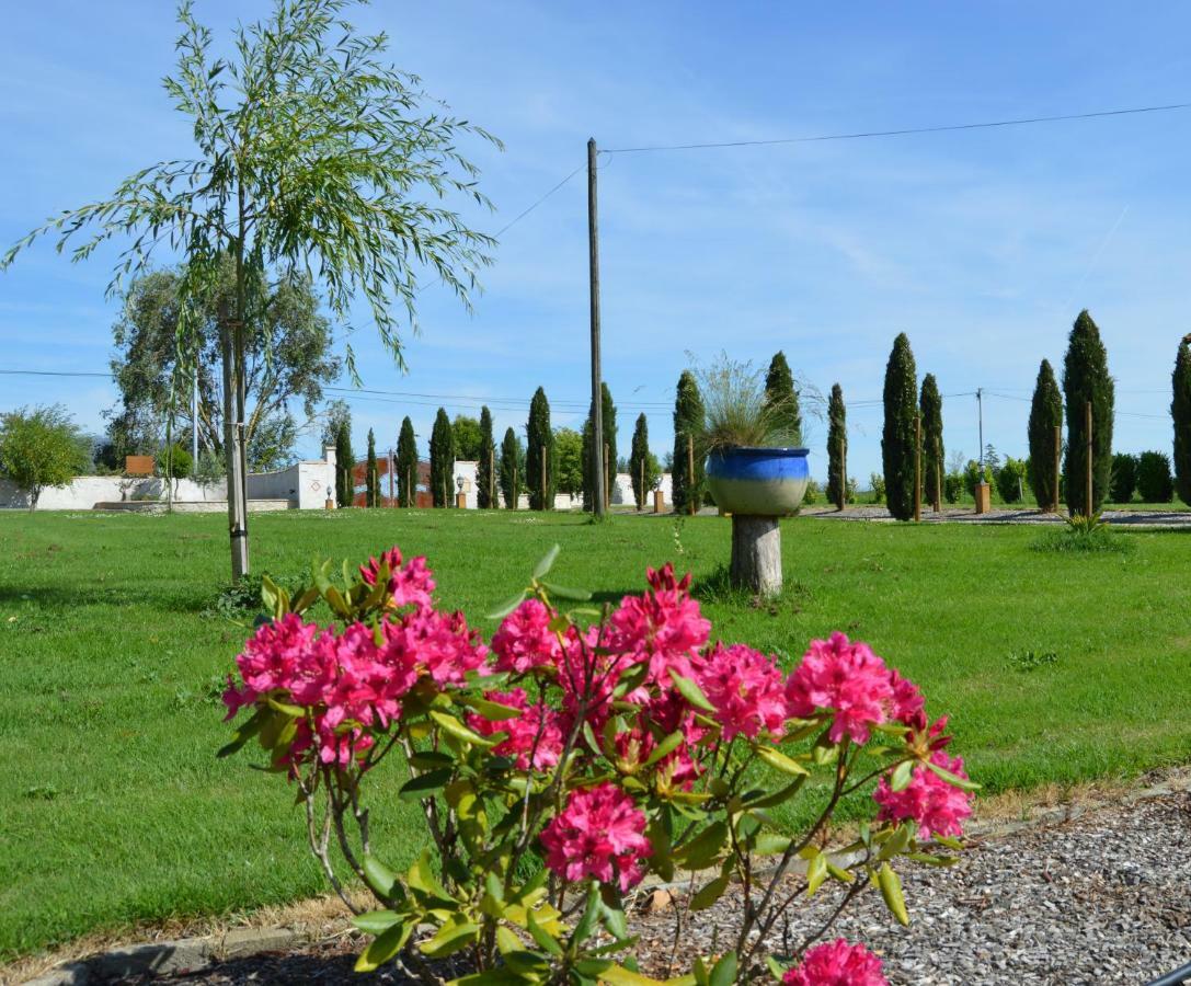 Sainte-Bazeille Le Coteau De Bazeille Sauna&Detente Sas מראה חיצוני תמונה